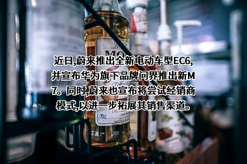 北京车和家信息技术有限公司