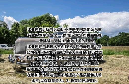 比亚迪股份有限公司