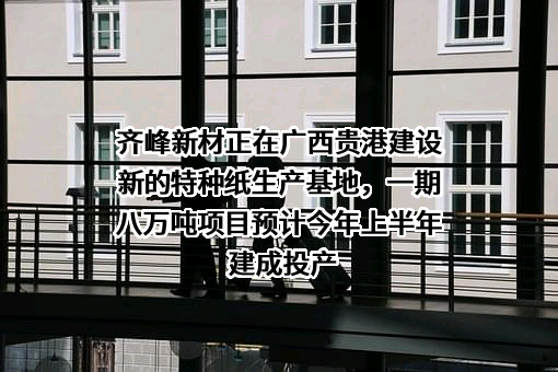 齐峰新材料股份有限公司