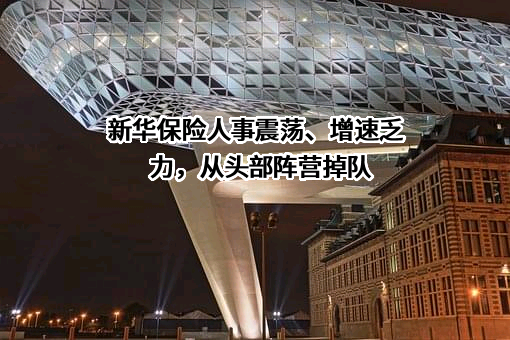 新华人寿保险股份有限公司