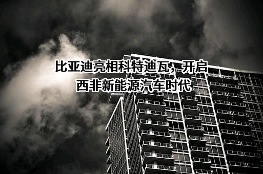 比亚迪股份有限公司