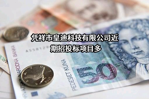 凭祥市皇迪科技有限公司近期招投标项目多