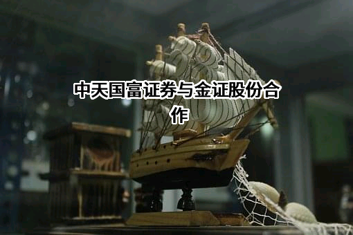 中天国富证券有限公司