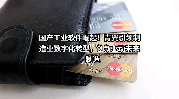 上海青翼工业软件有限公司