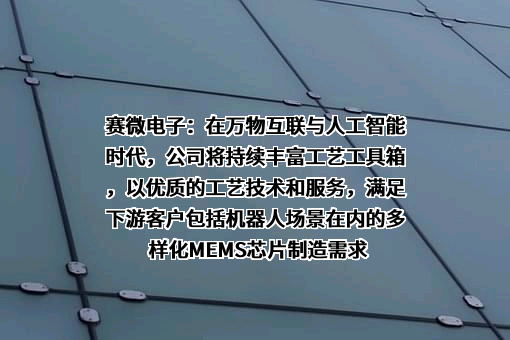 北京赛微电子股份有限公司