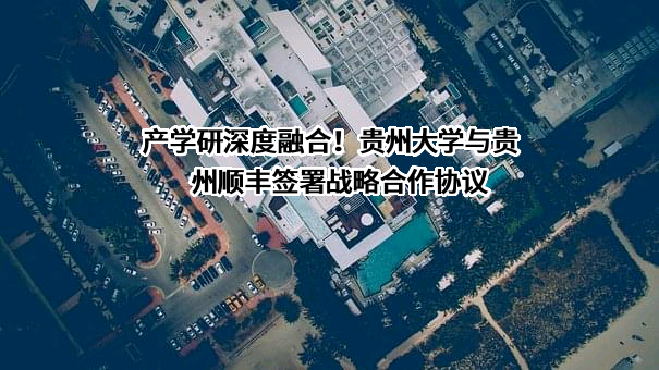 贵州顺丰速运有限公司