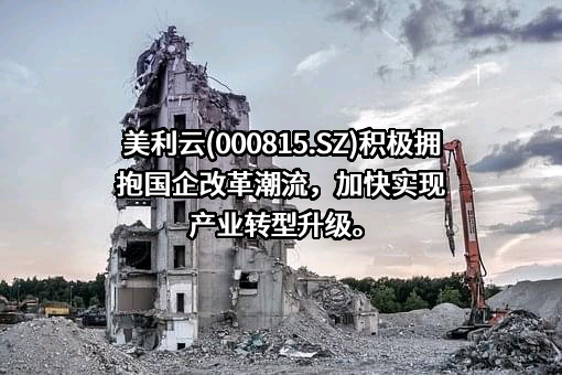 中冶美利云产业投资股份有限公司