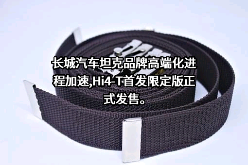 长城汽车股份有限公司