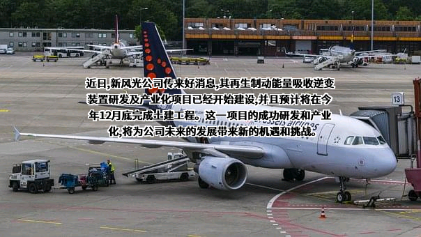 新风光电子科技股份有限公司