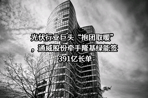 隆基绿能科技股份有限公司