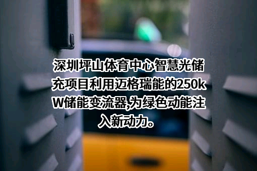 深圳迈格瑞能技术有限公司