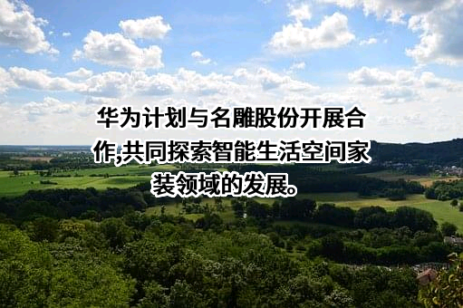 深圳市名雕装饰股份有限公司