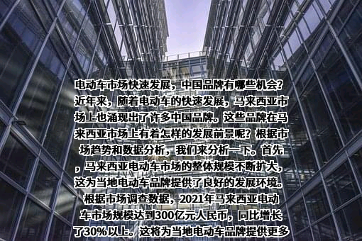 特斯拉（上海）有限公司