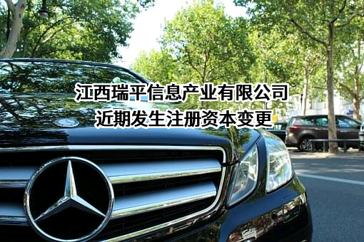 江西瑞平信息产业有限公司