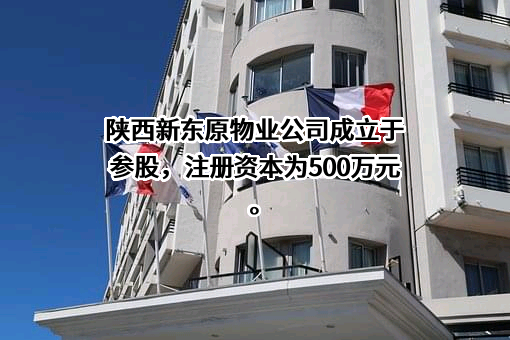 重庆新东原物业管理有限公司