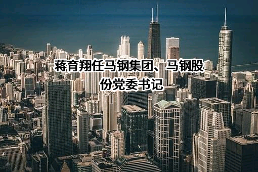 马鞍山钢铁股份有限公司
