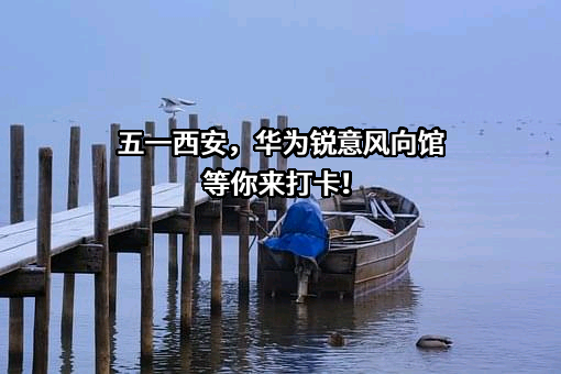 华为技术有限公司