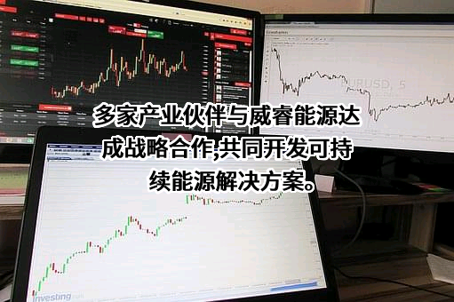 中化国际（控股）股份有限公司