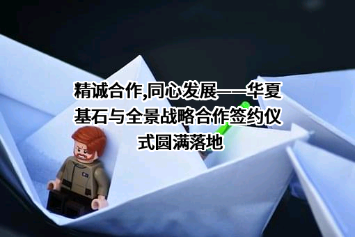 深圳市全景网络有限公司