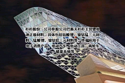 宁波杉杉股份有限公司