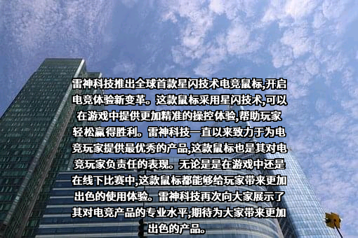 青岛雷神科技股份有限公司