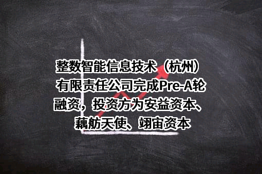 整数智能信息技术（杭州）有限责任公司
