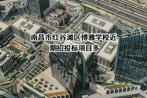 南昌市红谷滩区博雅学校近期招投标项目多