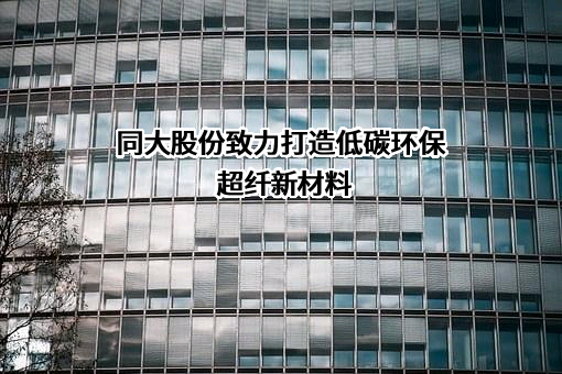 山东同大海岛新材料股份有限公司