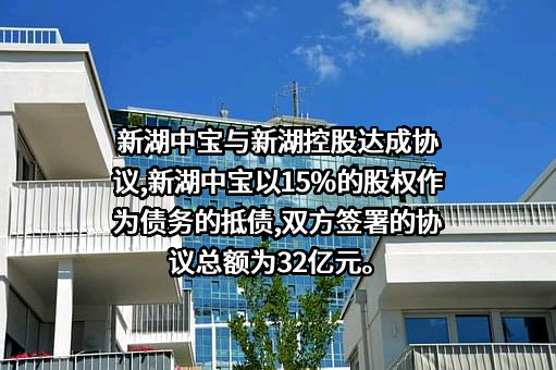 新湖中宝股份有限公司