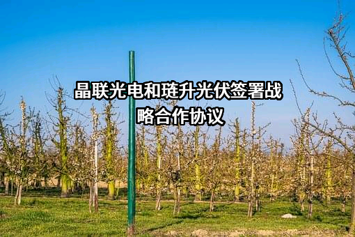 眉山琏升光伏科技有限公司