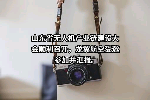 山东龙翼航空科技有限公司