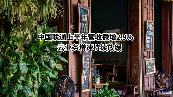 中国联通上半年营收微增2.9% 云业务增速持续放缓