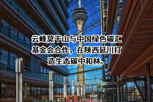 中国绿色碳汇基金会