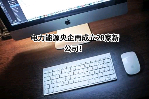 福建漳发新能源投资有限公司