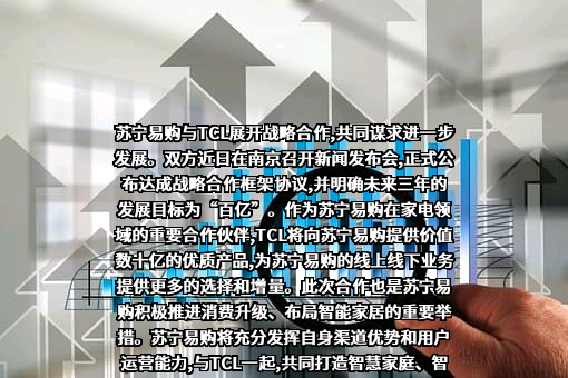 苏宁易购集团股份有限公司