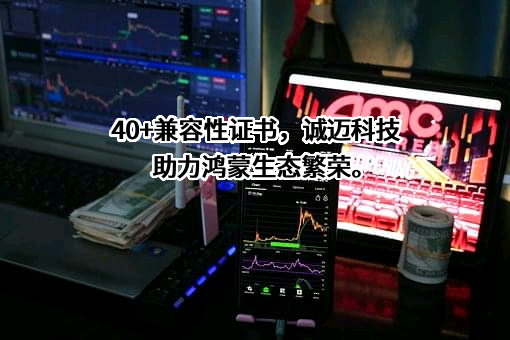 诚迈科技（南京）股份有限公司