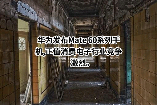 华为技术有限公司
