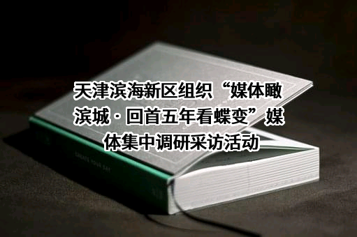深之蓝海洋科技股份有限公司