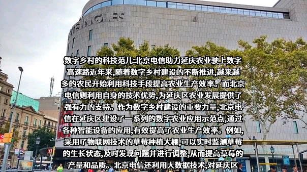 北京电信实业集团有限公司