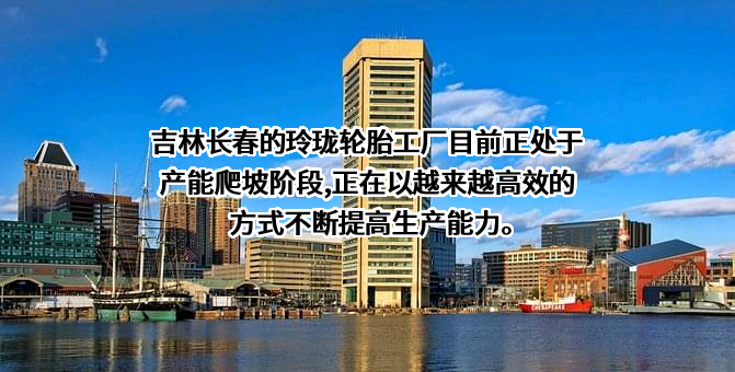 山东玲珑轮胎股份有限公司