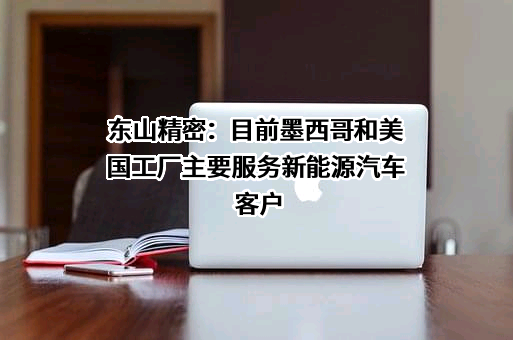 苏州东山精密制造股份有限公司