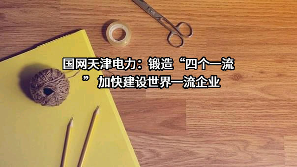 国网天津市电力公司