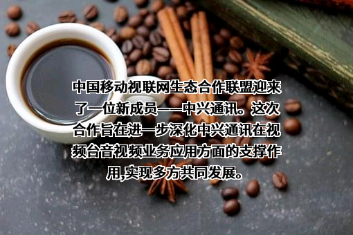 中兴通讯股份有限公司