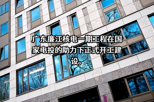 国家电力投资集团有限公司