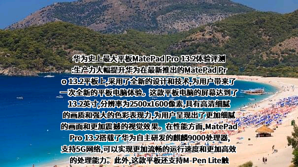 华为技术有限公司