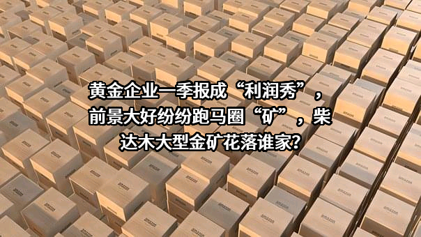 都兰金辉矿业有限公司