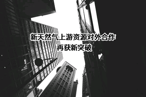 新疆鑫泰天然气股份有限公司