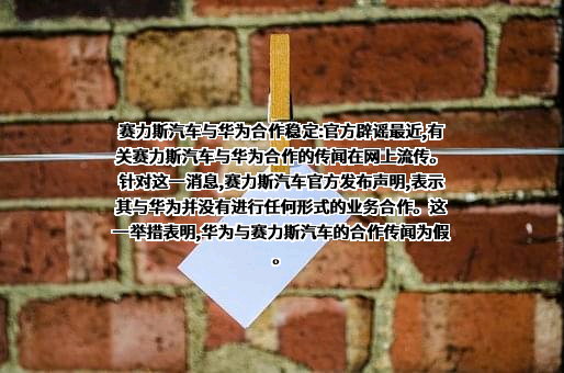 上海赛力斯汽车销售服务有限公司