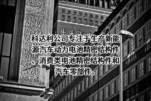 深圳市科达利实业股份有限公司