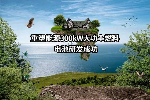 上海重塑能源集团股份有限公司
